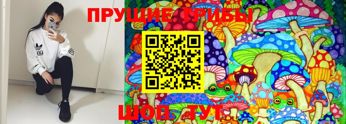 Дмитров  Галлюциногенные грибы Cubensis  купить   Вход с VPN  Галлюциногенные грибы ЛСД 