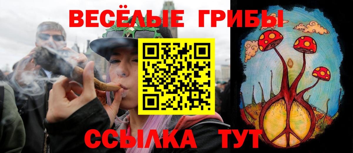Псилоцибиновые грибы мухоморы Дмитров