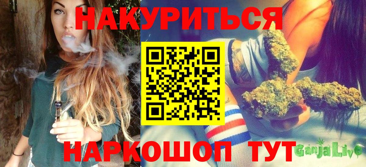 Канабис план Дмитров